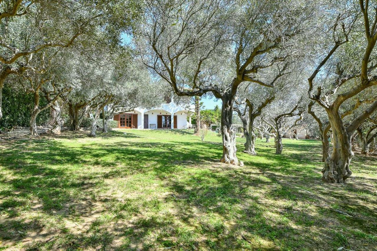 Light-Filled Home With Garden Near Beach Anavyssos Exterior photo