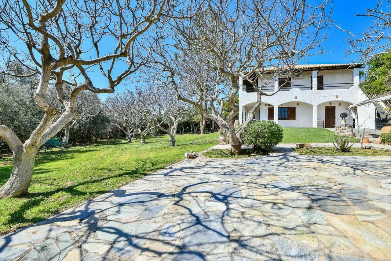Light-Filled Home With Garden Near Beach Anavyssos Exterior photo